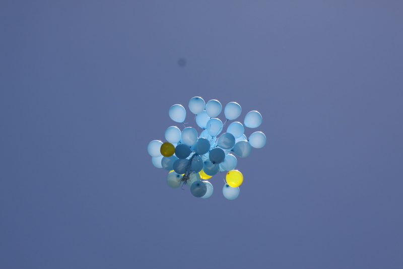 017
