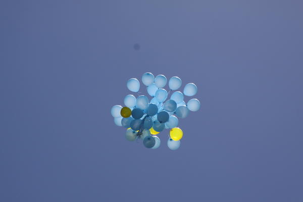 017