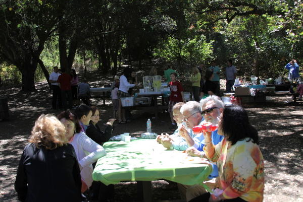 Picnic 15 August 2010 064