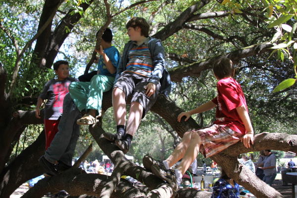 Picnic 15 August 2010 099