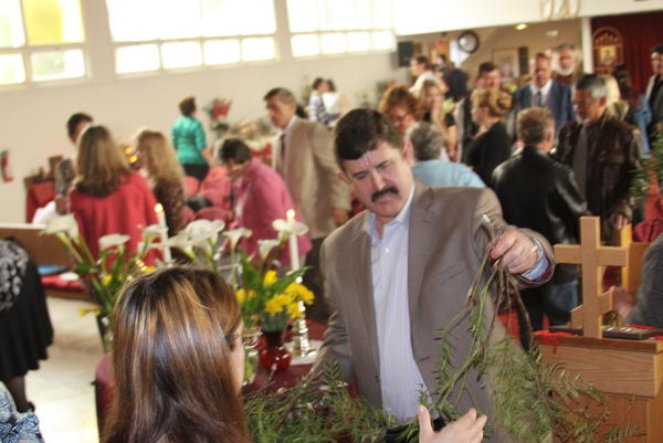 FLORIILE 2011 052