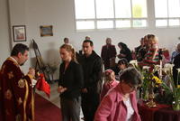 FLORIILE 2011 014