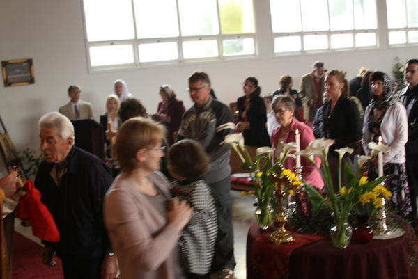 FLORIILE 2011 007