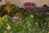 Sfintele Pasti 2012 077