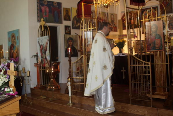 Floriile 2013 028