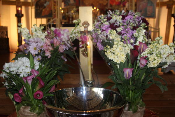 Floriile 2013 071