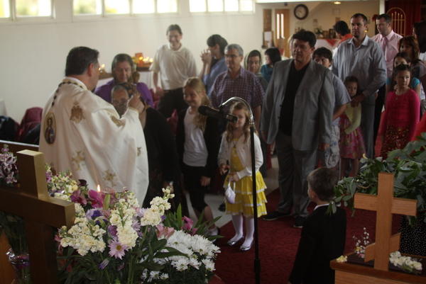 Floriile 2013 061
